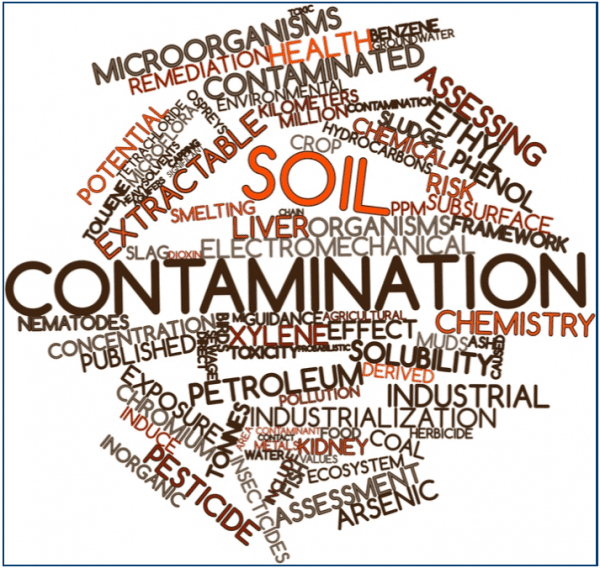 Soil Contamination Graphic